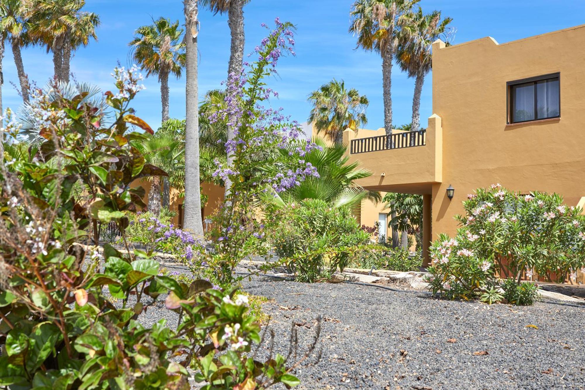 Apartamento Samira Fuerteventura كوراليهو المظهر الخارجي الصورة