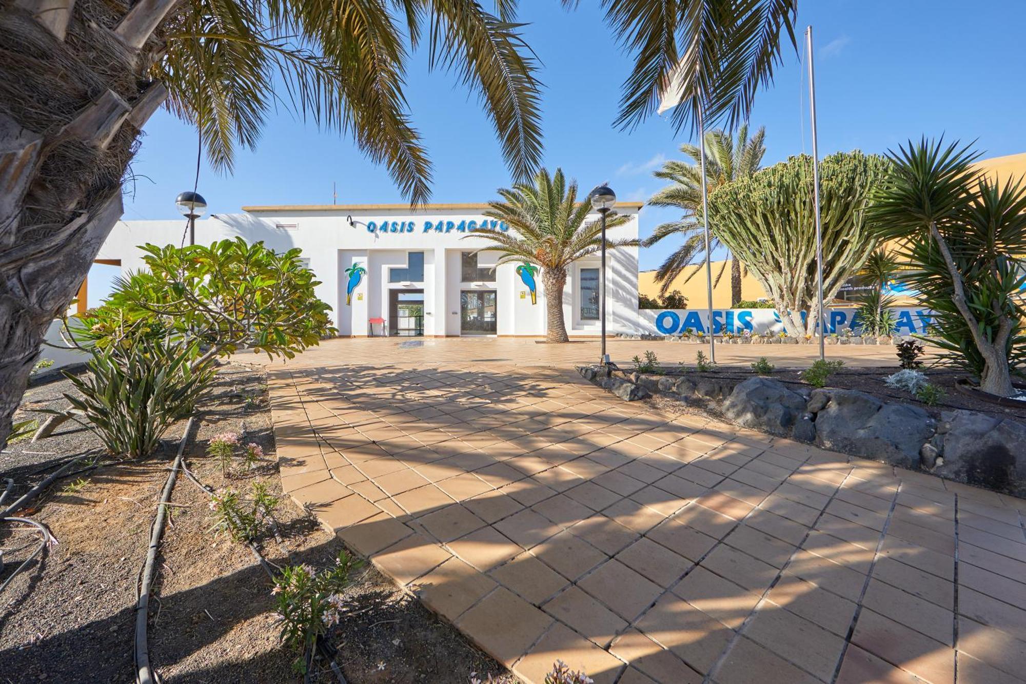 Apartamento Samira Fuerteventura كوراليهو المظهر الخارجي الصورة
